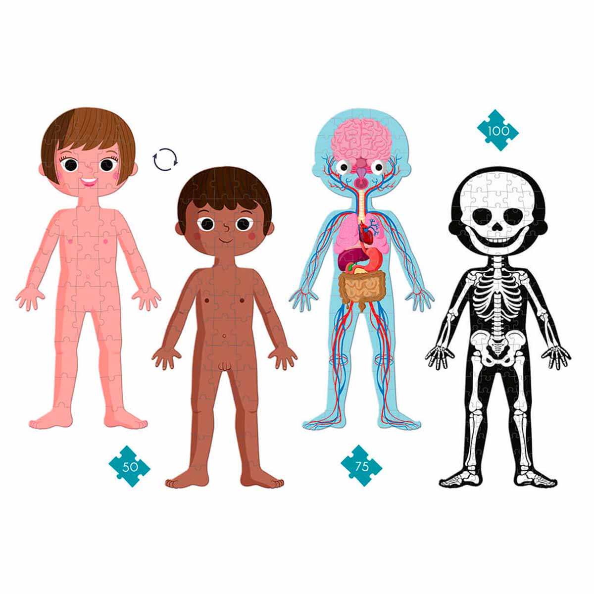 Puzzle Educativo Gigante Cuerpo Humano x3 Janod - Imagen 3